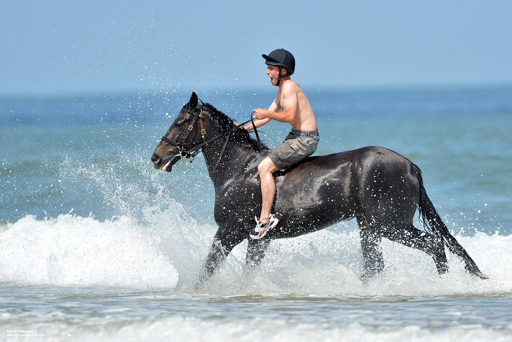 Getting Back on that Horse Kosher Fitness